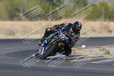 media/Nov-11-2023-SoCal Trackdays (Sat) [[efd63766ff]]/Turn 7 (2pm)/